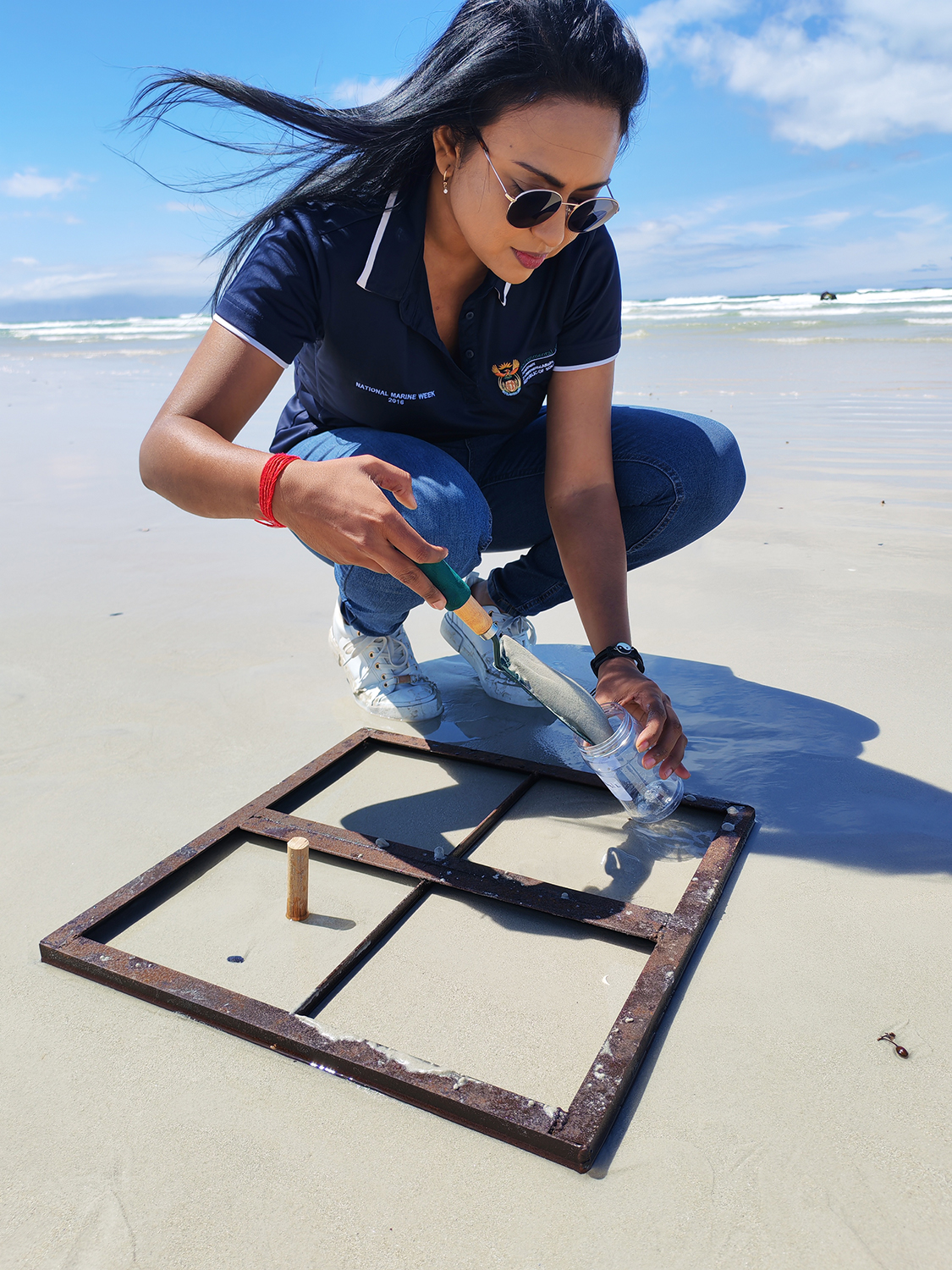 A benthic ecologist coring the intertidal sand within a quadrat to sample crucial benthic organisms.