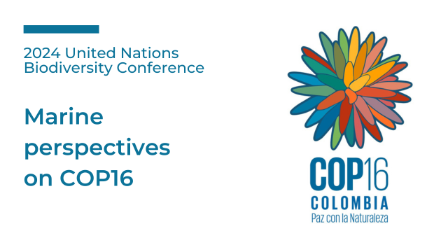 Marine perspectives on COP16-Reinforced global collaborations to better support conservation