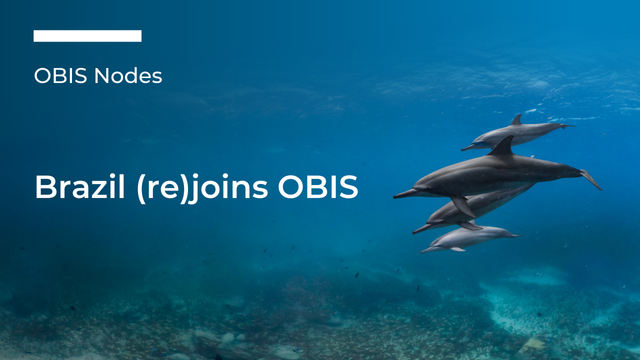 OBIS Brazil - Unleashing the data potential of a marine megadiverse country