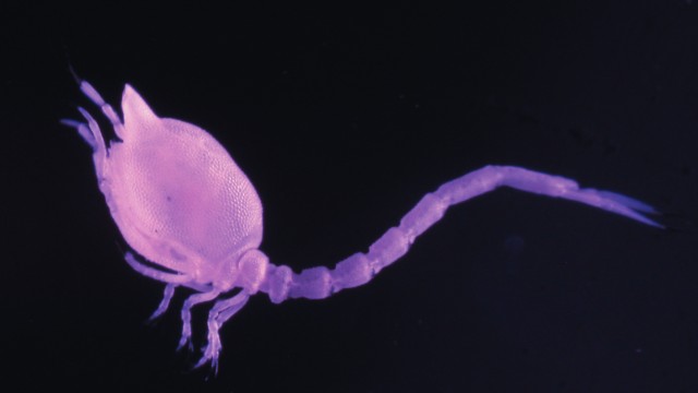 Adopting best practices to better understand life on the ocean floor