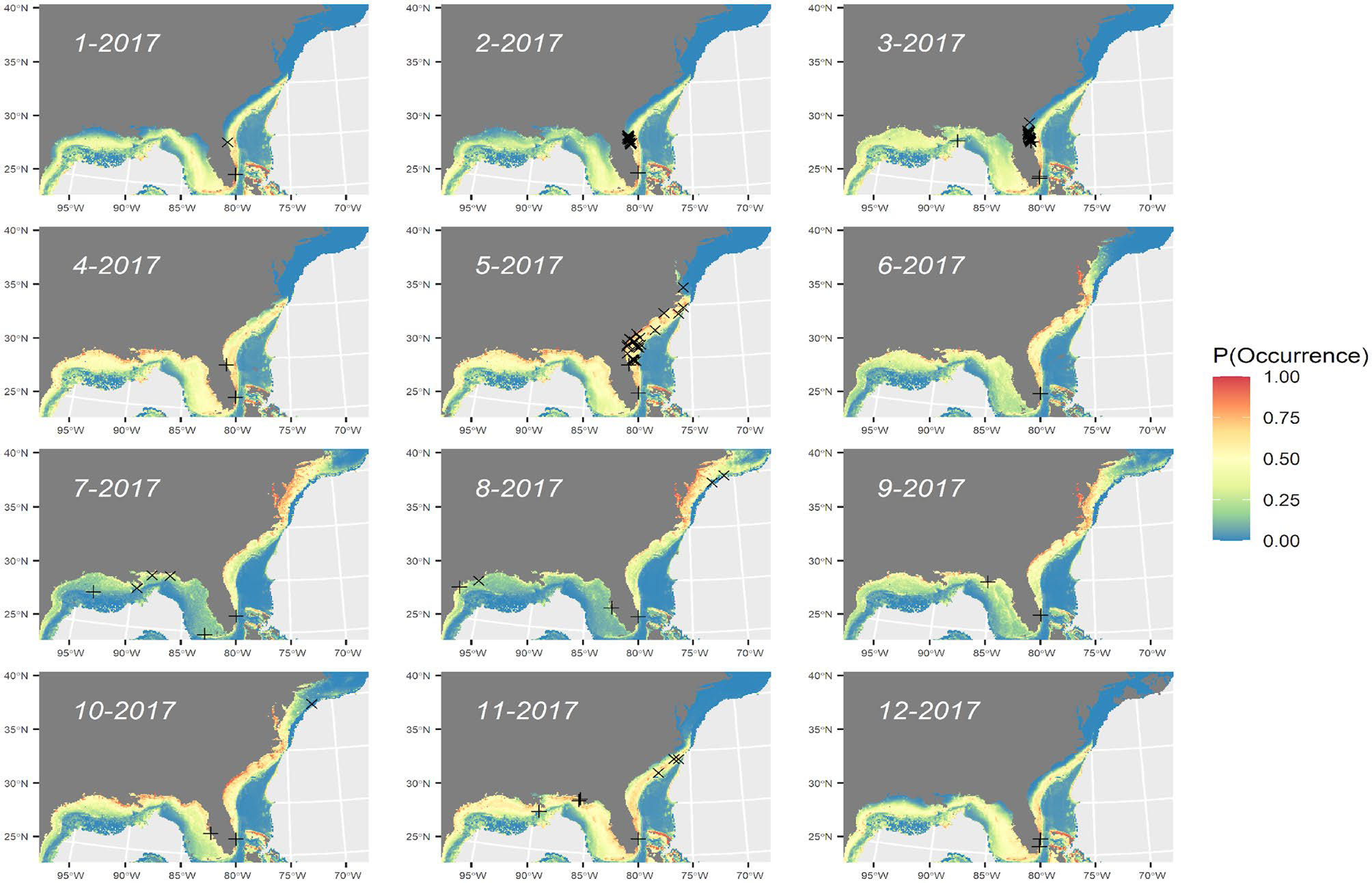 Giant manta ray distribution in the western North Atlantic Ocean