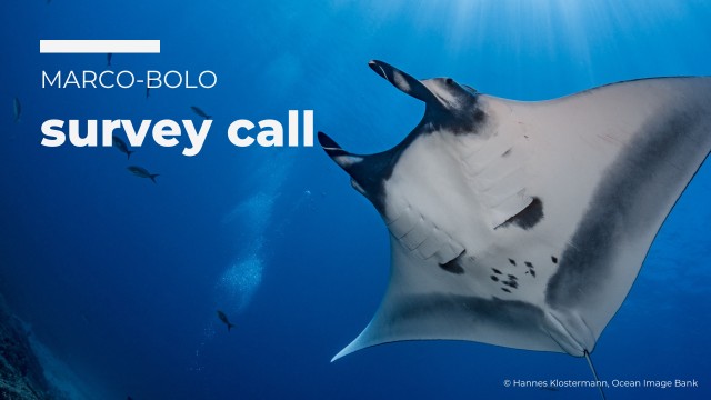 Calling all Biodiversity Enthusiasts - Share Your Insights!