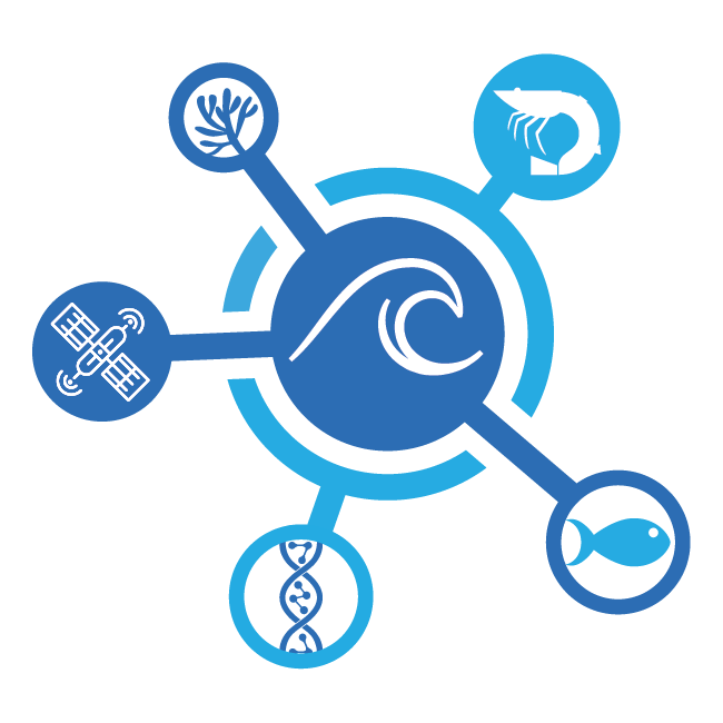Marine coastal biodiversity observations to be strengthened through €7.3 million Horizon Europe project