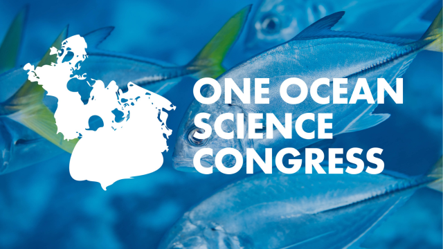 OBIS at the One Ocean Science Congress 2025 - All the sessions at a glance