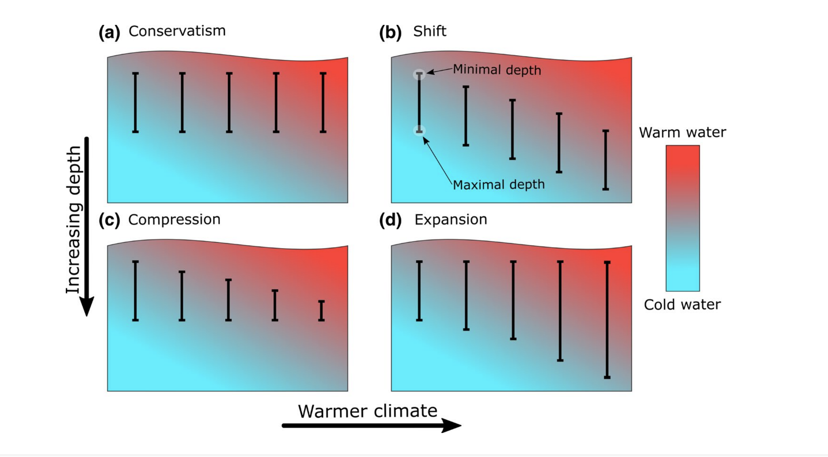 Cold-water species deepen to escape warm water temperatures