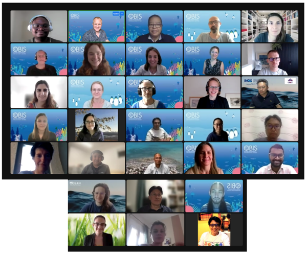 10th Session of the OBIS steering group, 17-20 May 2022 (Online)