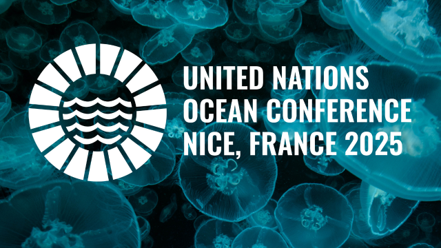OBIS at the third United Nations Ocean Conference